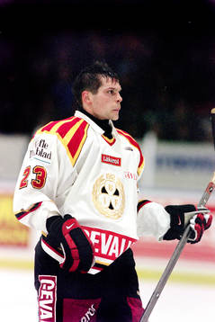 Per Löfström, Brynäs