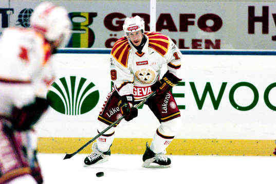 Tom Bisset, Brynäs