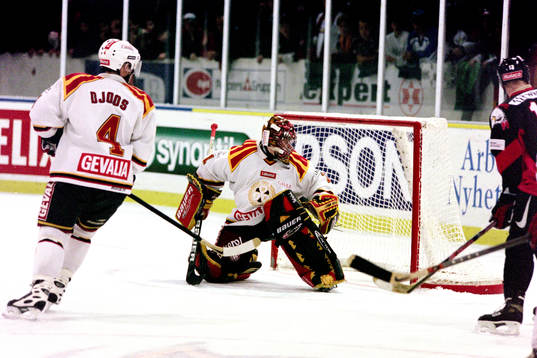 Johan Holmqvist. Målvakt, Brynäs