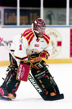 Johan Holmqvist, Målvakt, Brynäs