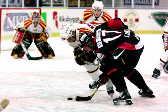 Peter Nylander, Brynäs och Mikael Lindholm, Malmö i kamp