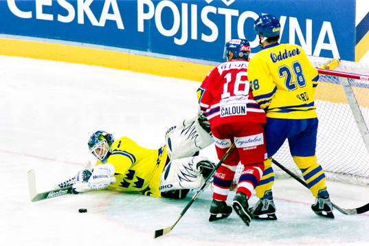 Johan Hedberg, Målvakt, Sverige
