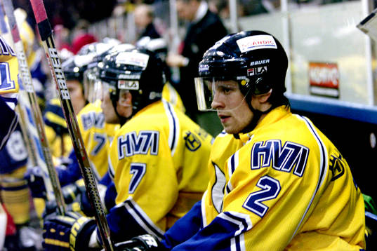 David Petrasek, HV71