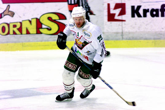 Stefan Elvenes, Rögle