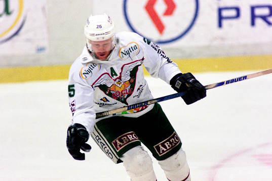 Stefan Elvenes, Rögle
