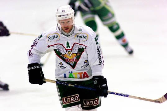 Stefan Elvenes, Rögle