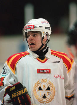 Ove Molin, Brynäs
