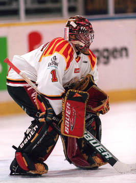 Johan Holmqvist, Brynäs