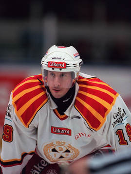 Tom Bissett, Brynäs
