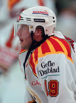 Tom Bissett, Brynäs