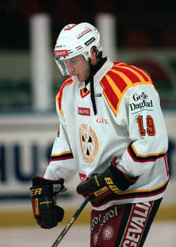 Tom Bissett, Brynäs