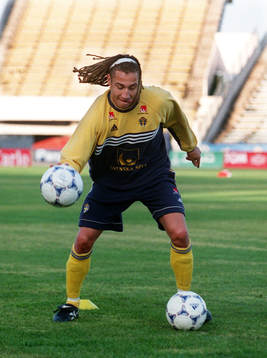 Henrik Larsson, Sverige