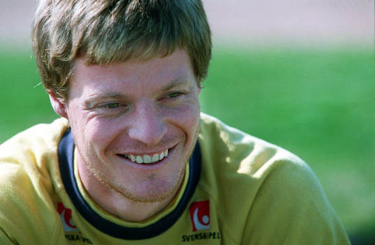 Stefan Schwarz, Sverige