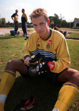 Niclas Alexandersson, Sverige