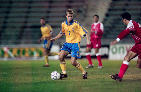 Niclas Alexandersson, Sverige