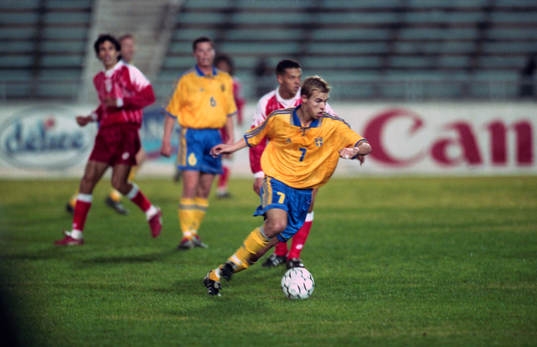Niclas Alexandersson, Sverige