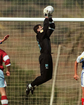 Milan Simeunovic, Malmö FF