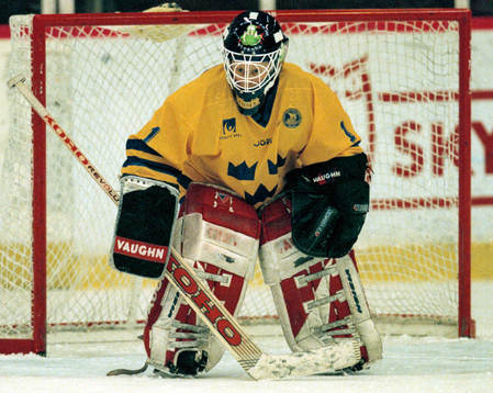 Lotta Göthesson, Sverige