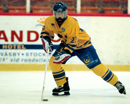Gunilla Andersson, Sverige