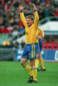 Stefan Schwarz, Sverige