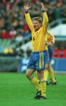 Stefan Schwarz, Sverige