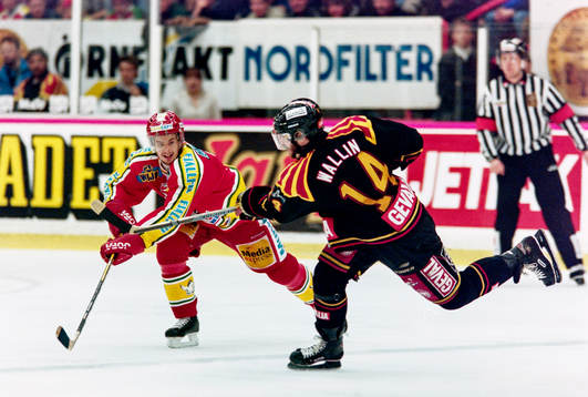 Niclas Wallin, Brynäs i skottagen