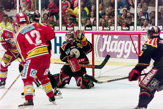 Brynäs målvakt Johan Holmqvist