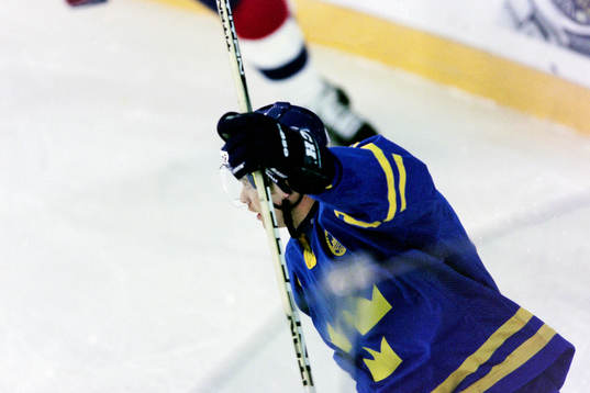 Niklas Sundström, Sverige jublar