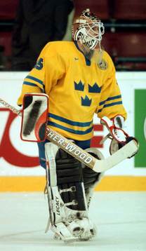 Tommy Salo, Sverige