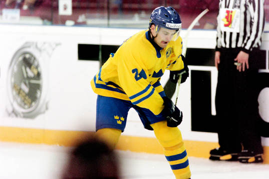 Niklas Sundström, Sverige