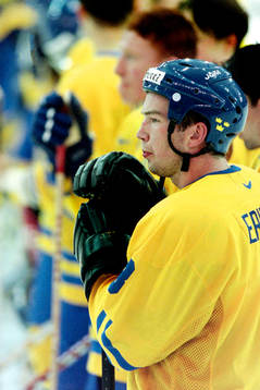 Anders Eriksson, Sverige