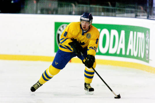 Anders Eriksson, Sverige