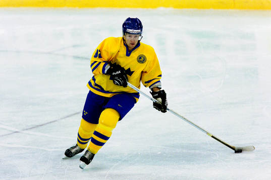 Michael Nylander, Sverige