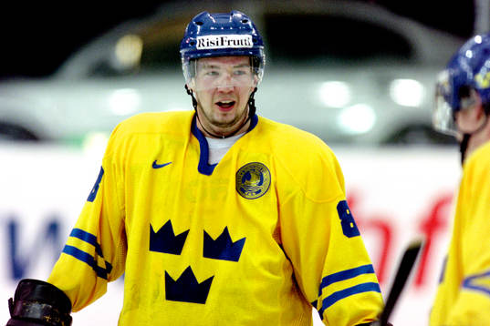 Anders Eriksson, Sverige