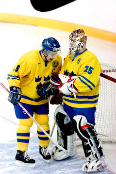 Nichlas Falk och Tommy Salo, Målvakt, Sverige
