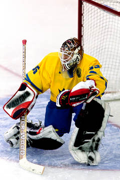 Tommy Salo, Målvakt, Sverige