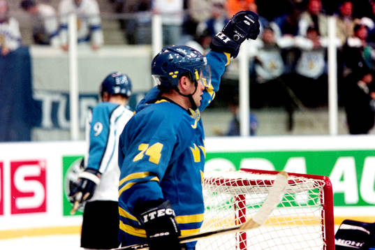 Niklas Sundström, Sverige jublar