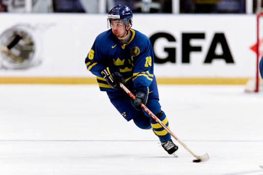 Nichlas Falk, Sverige