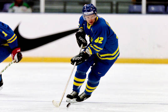 Michael Nylander, Sverige