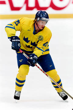 Jörgen Jönsson, Sverige
