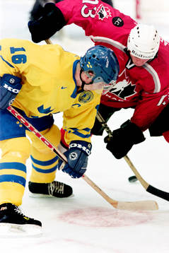 Nichlas Falk, Sverige i en tekning mot Claude Lapointe,