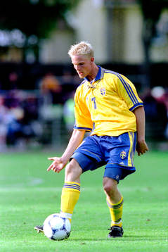 Johan Sjöberg, Sverige