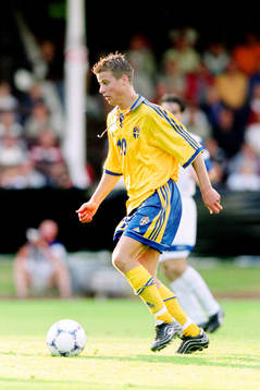 Pontus Farnerud, Sverige