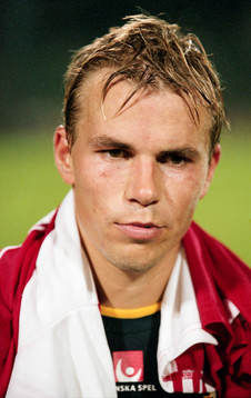 Niclas Alexandersson, Sverige