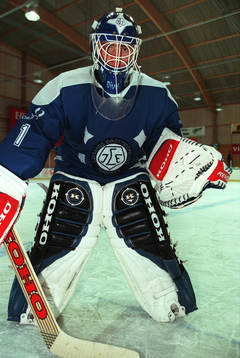 Reinhard Divis, Leksand