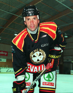 Tommy Sjödin, Brynäs