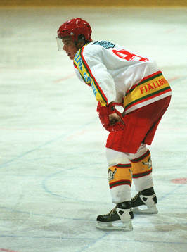 Mattias Weinhandl, Modo