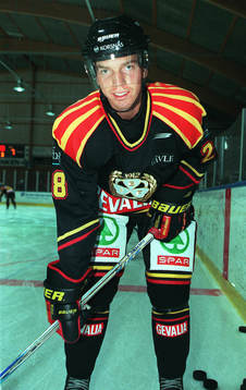 Mikael Samuelsson, Brynäs