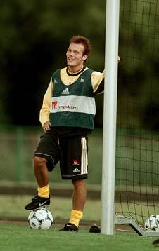 Fredrik Ljungberg, Sverige