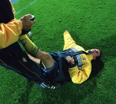 Fredrik Ljungberg, Sverige